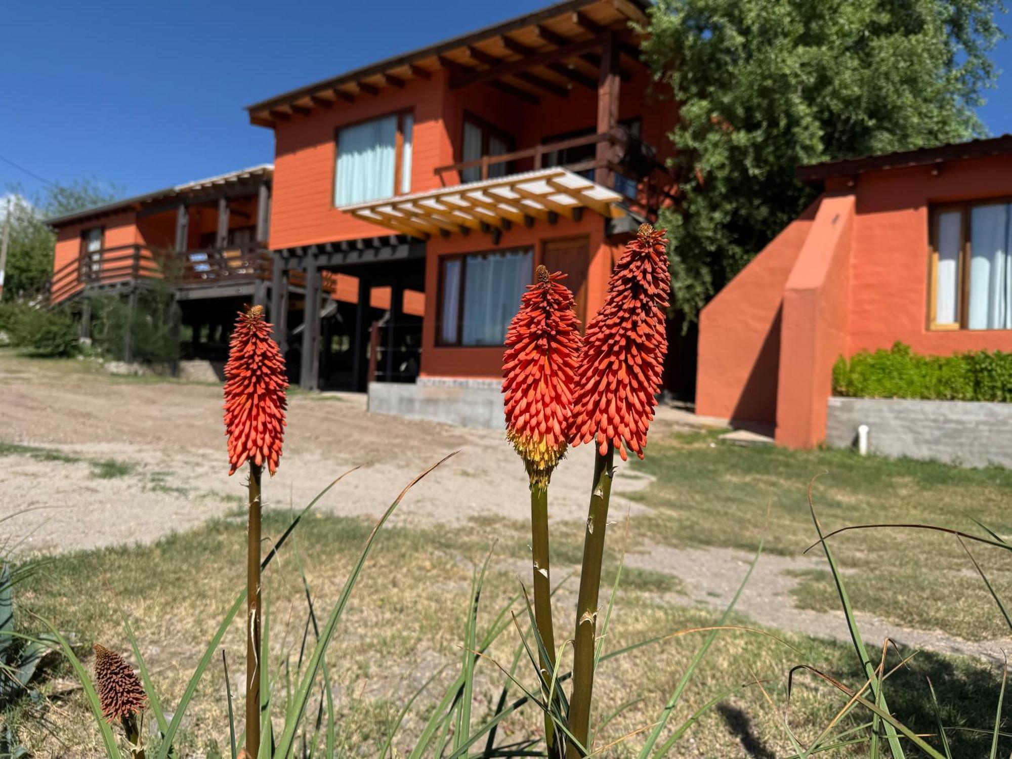 Cabana El Churqui Tafí del Valle Buitenkant foto